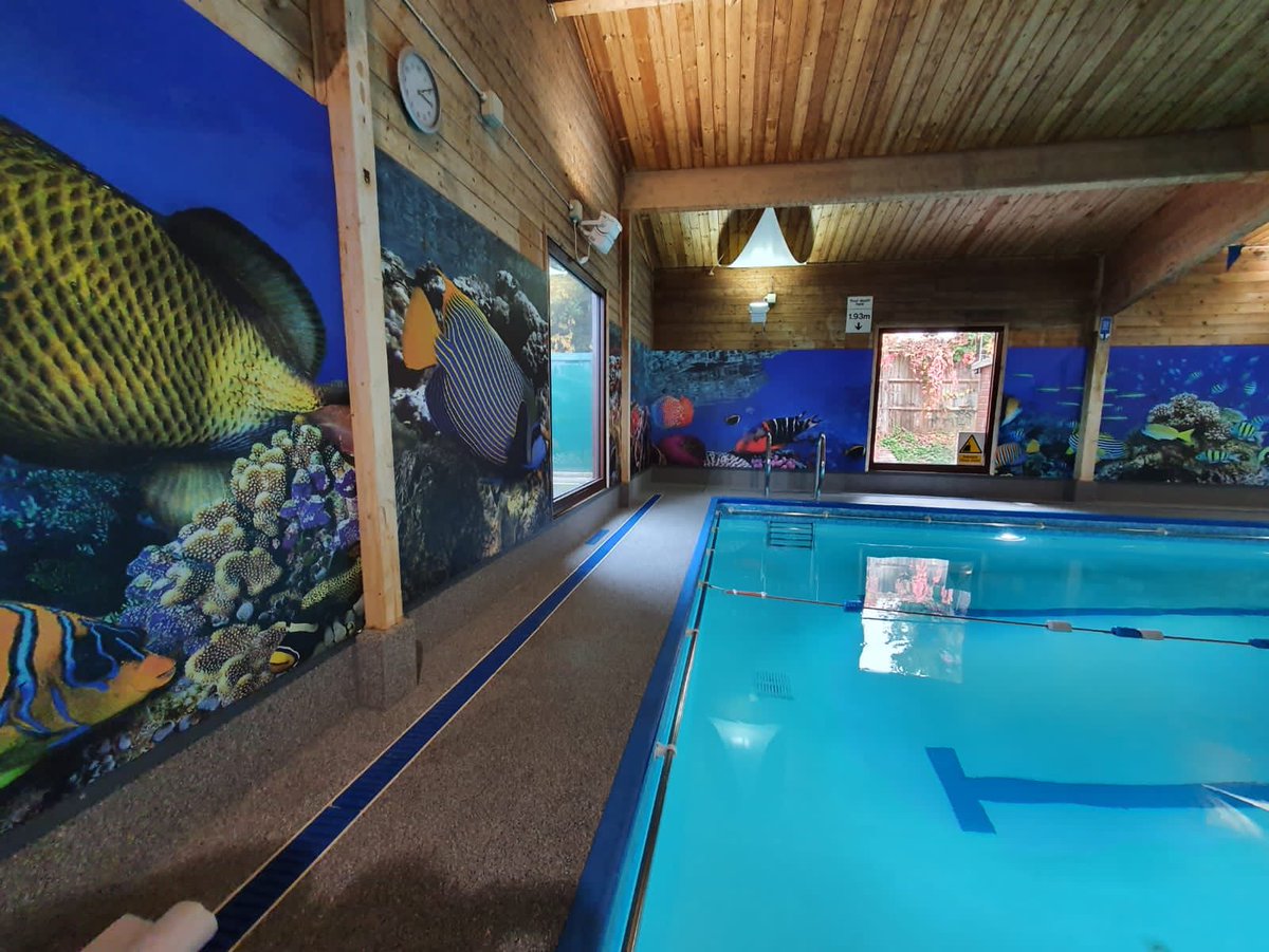 PolyAdvisory's tweet photo. Poly Advisory transformed this swimming pool with a refurbishment that included wall cladding with full colour print in vibrant colours creating a much brighter swimming environment. All designed, printed and installed in house by Poly Advisory. https://t.co/jFnX7vP05o