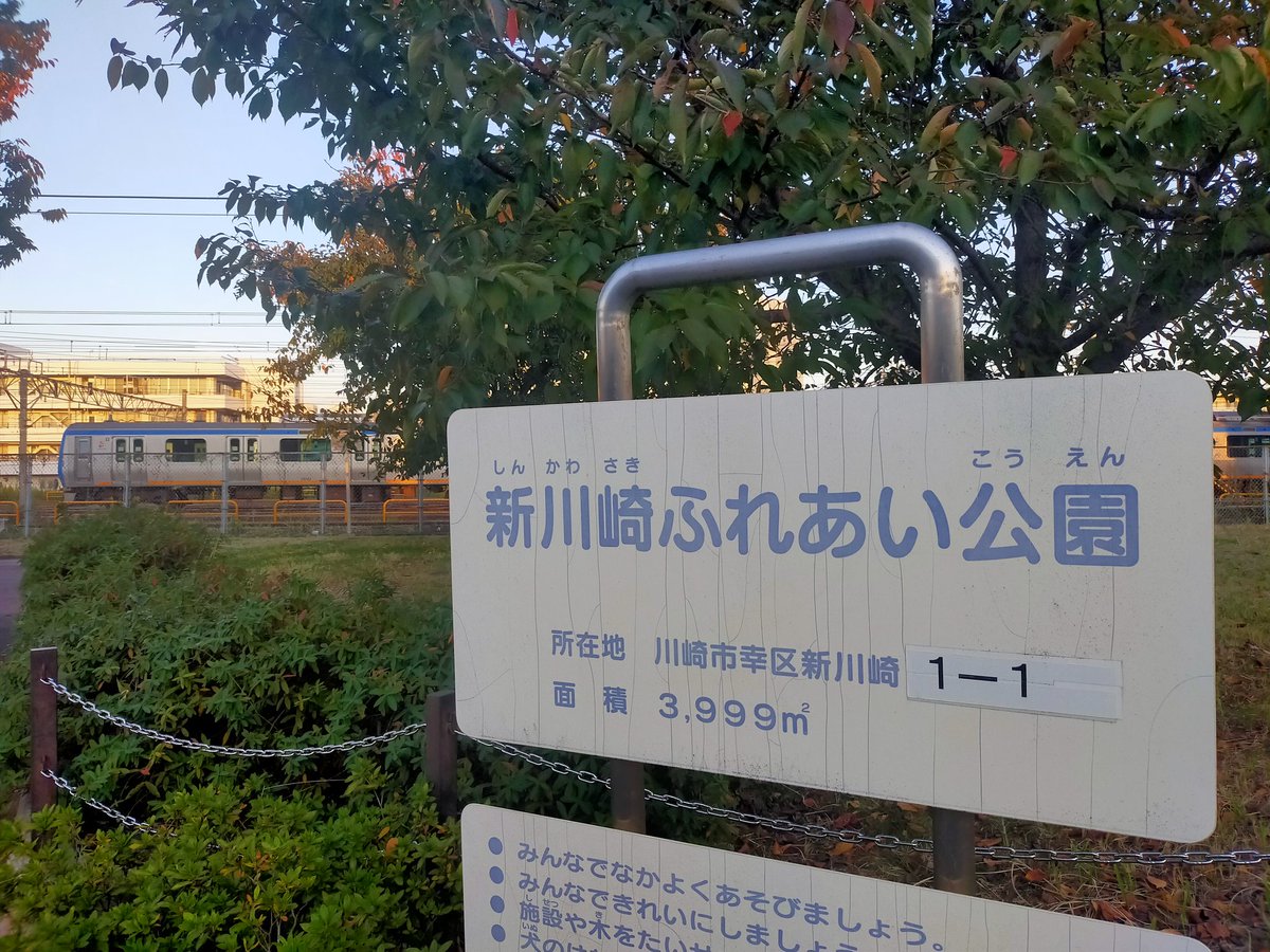 公園 新川崎 ふれあい