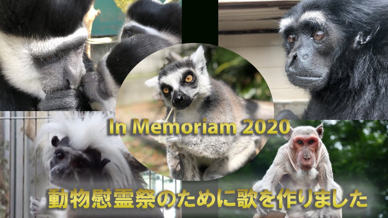 日本モンキーセンター 公式 日本モンキーセンターの創立記念日である10月17日 に毎年動物慰霊祭をおこなっています 今年の慰霊祭のために作った歌 をyoutubeで公開しました タイトルは 10 17 映像は 担当飼育員の撮影した写真や動画を集めて作りまし
