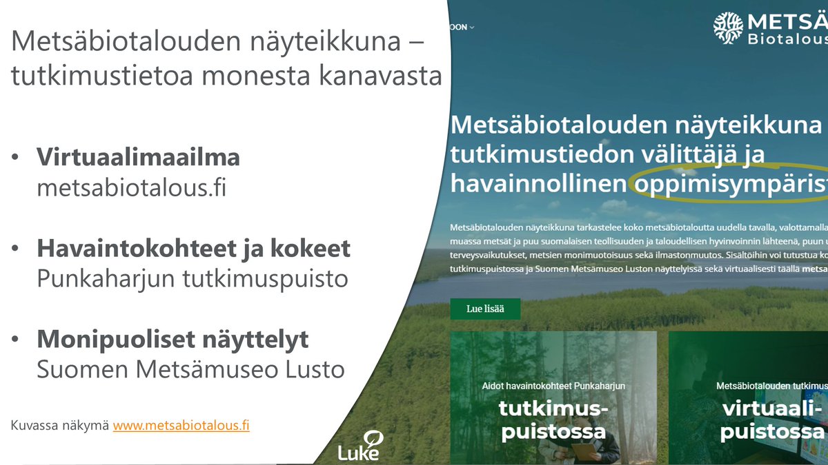 LukeFinland's tweet photo. Metsäbiotalouden näyteikkunasta tutkimustietoa kestävän metsäbiotalouden tueksi. #metsäbiotaloudennäyteikkuna @mmm_fi @UniEastFinland @lustomuseum @Metsahallitus @metsakeskus @xamkfi #savonlinnankesäyliopisto @YleMikkeli @ItaSavo @metsalehti https://t.co/gcMjpI6Gbx https://t.co/nHCKNZMPbr