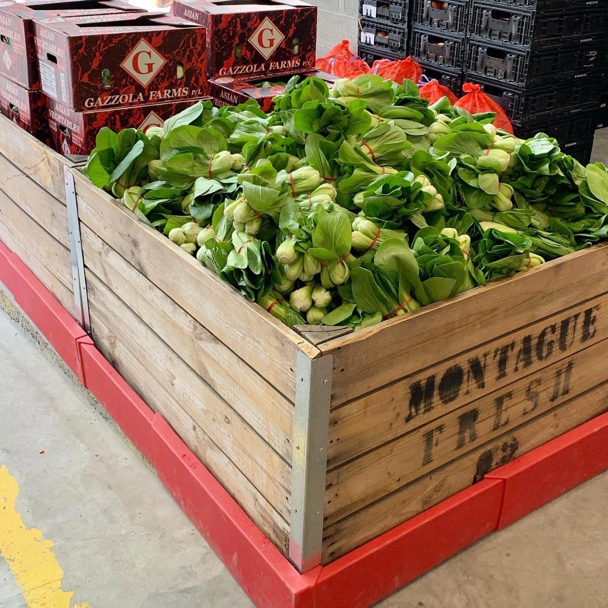 garyleecious's tweet photo. Are you an International Student in Melbourne needing access to food? Come to Foodbank’s Pop-Up Store, 10am – 2pm every Mon, Wed, Fri (ex public holidays) 230 LaTrobe Street, Melbourne. Bring a shopping bag &amp; Student ID for FREE access to fresh &amp; packaged food.  #garyleecious https://t.co/F3tHH38rHK