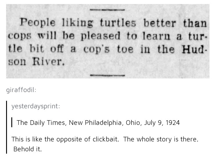 1047. turtle says acab, thank you comrade turt