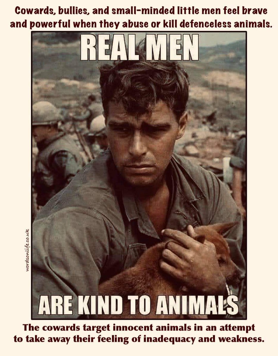 cktCCFCPUSB's tweet image. #BackTheBan #BanHuntingWithDogs #TrailHuntLies #ProtectOurWildlife