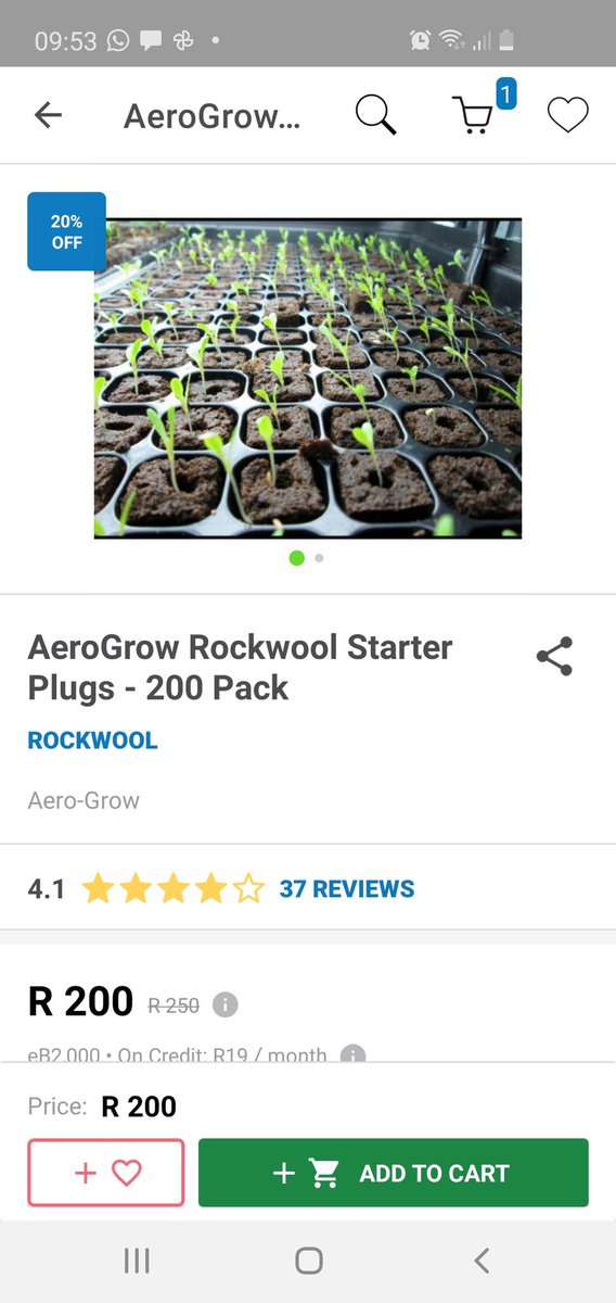 #TakealotBigBrandSale serious keen on growing my veg garden. 

<a href="/947/">947</a> <a href="/TAKEALOT/">takealot</a>
