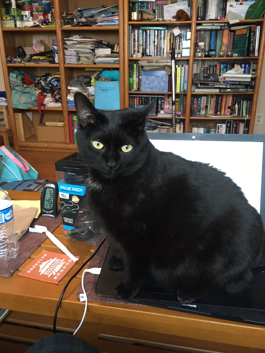 deafgeek's tweet photo. @kristin42 @akasha111182 I halp other ways! https://t.co/jfp140ygNe