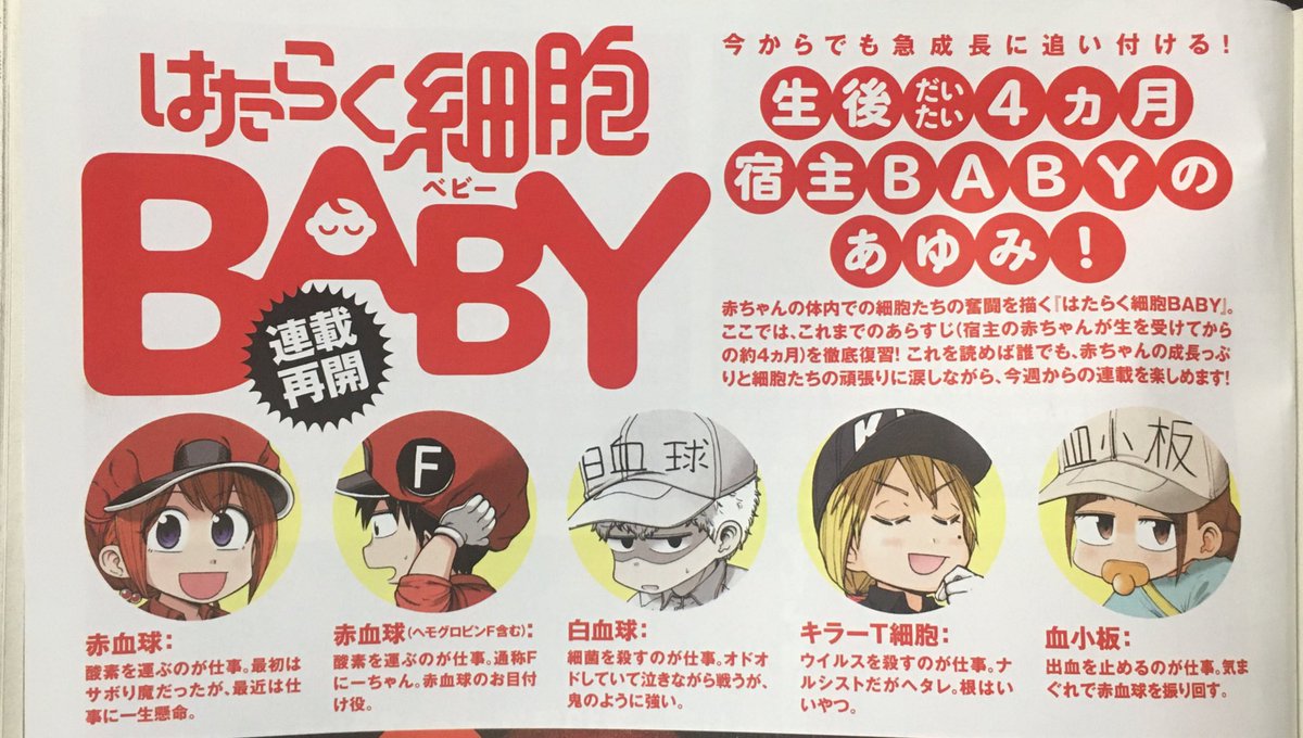 はたらく細胞baby 、16話掲載されてます!!ついに第3シーズン開幕!1.2巻のあらすじを2ページカラーでつけていただいてるので未読の方も分かりやすいですよ✨是非是非よろしくお願いします!
#はたらく細胞 #はたらく細胞BABY #第3シーズン