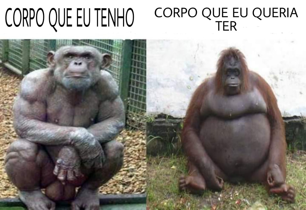 Eu os memes desses bonequinhos 👉👈#CapCut #chango #corpo