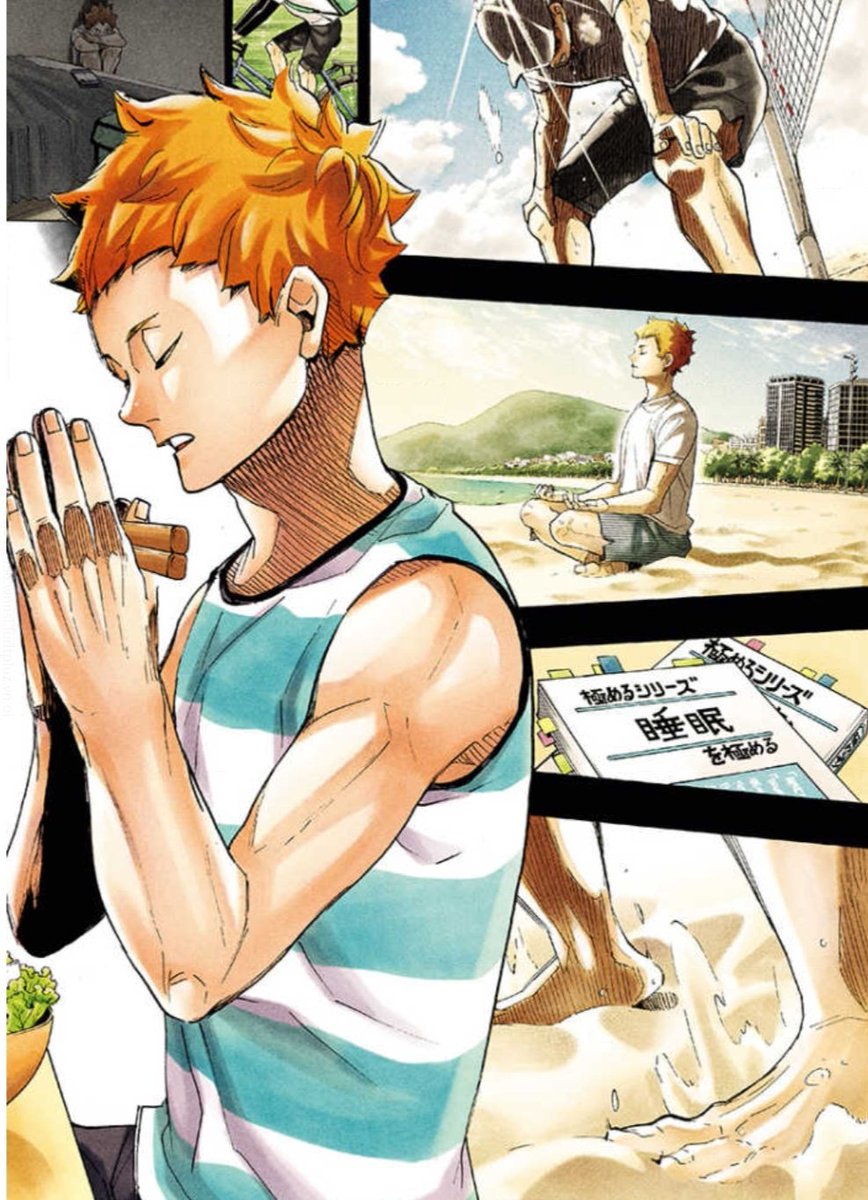 日向翔陽 ブラジル