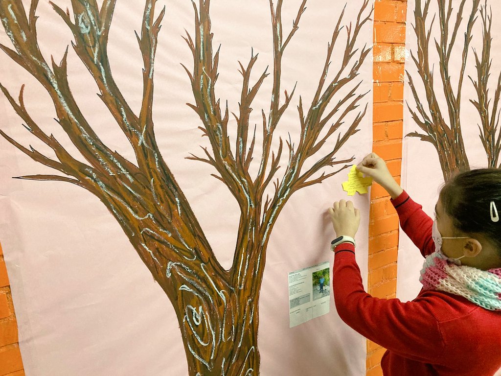 vmh_feye's tweet photo. Nuestros árboles comienzan a tener hojas gracias a vuestra generosidad ¡Seguimos con ello! #vmhFEyE #proyectoAPS #MeGustaCuidarte @COVIDEAMVE https://t.co/hIbFHoEOBd