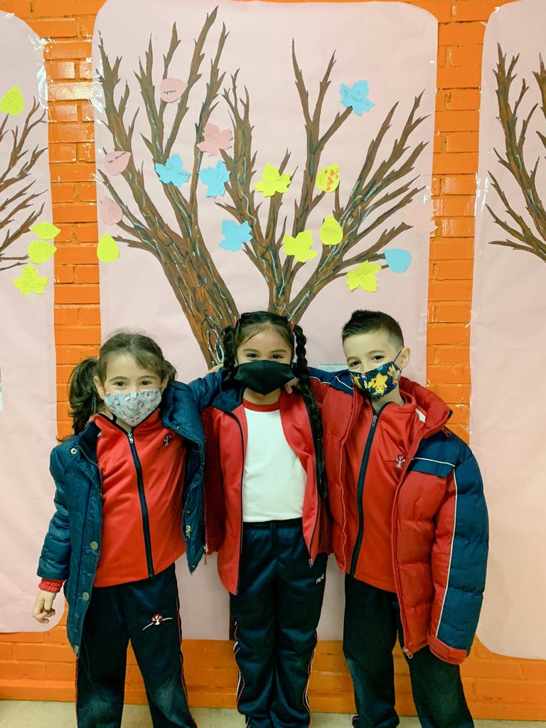 vmh_feye's tweet photo. Nuestros árboles comienzan a tener hojas gracias a vuestra generosidad ¡Seguimos con ello! #vmhFEyE #proyectoAPS #MeGustaCuidarte @COVIDEAMVE https://t.co/hIbFHoEOBd