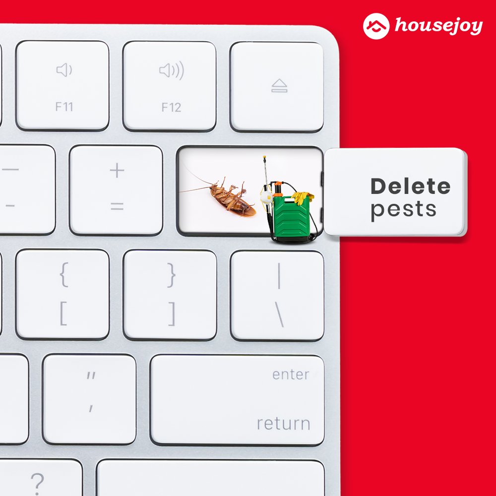 housejoyindia's tweet photo. Letters handle it all for you.
#ContructionServices #SpaAtHome #PestControl #PestControlServices #Interiors #PackersAndMovers #HomeMaintenance #JoyComesHome #UnderOneRoof #HomeNeeds #Home #House #Housejoy #HousejoyIndia https://t.co/UxTgzgP9cJ