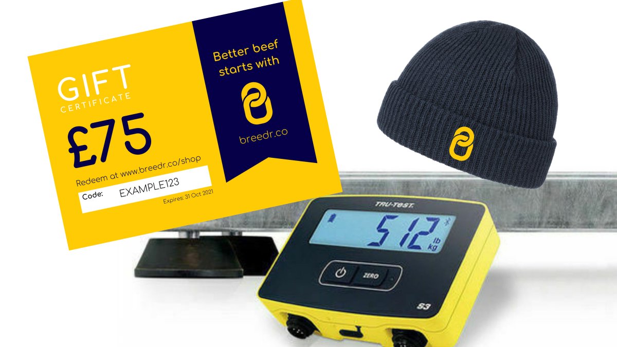 _Breedr's tweet image. To help make cattle weighing even easier we'll send you a £75 Tru-Test voucher and toasty warm Breedr beanie when you upload your herd to our free precision beef app breedr.co

#BackedByBreedr #precisionbeef #Agritech #teambeef