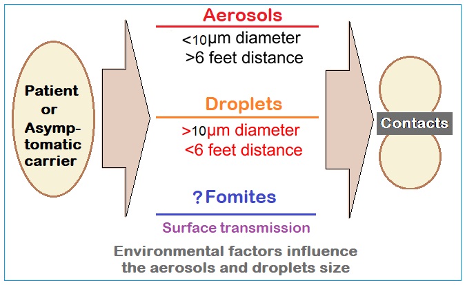 Vnikhra's tweet photo. COVID-19: SARS-CoV-19 transmission kinetics
A Figure from my latest Review article - "COVID-19 pandemic, recurrent outbreaks and prospects for
assimilation of hCoV-19 into the human genome" published in the latest issue of - International Journal of Clinical Virology. https://t.co/rpiR0QpaVr