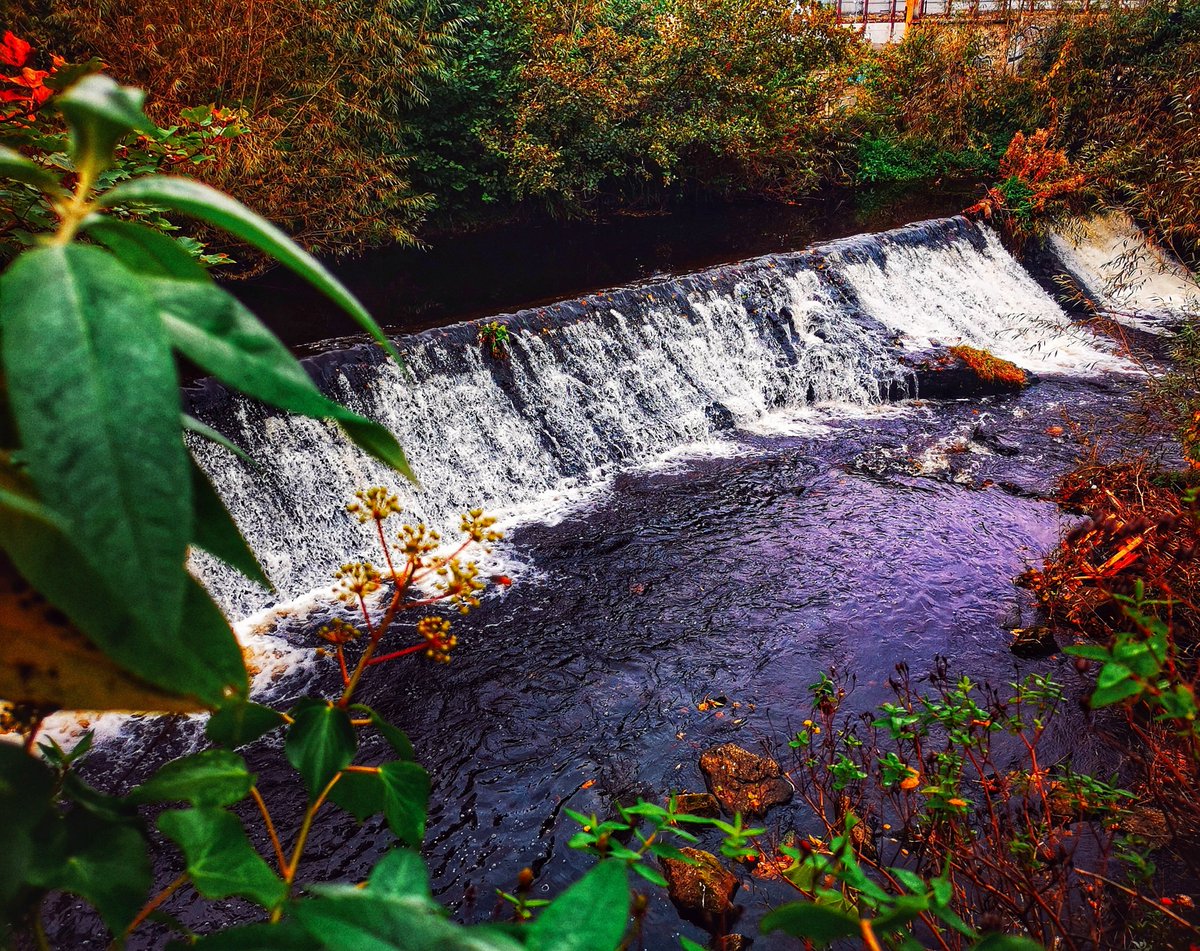 jennyfarrelly's tweet photo. The Dodder of a Thursday! #dodder #autumn #miniwaterfall #dublin @PhotosOfDublin @ThePhotoHour @StormHour https://t.co/Sm9eePqXug