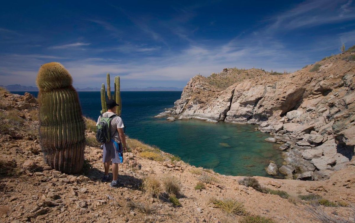 TorrucoTurismo's tweet photo. Hoy más que nunca la sostenibilidad se presenta como la mejor opción para enfrentar los retos que nos demanda la nueva realidad, una realidad que deberá estar sustentada en la conservación y preservación de nuestros recursos naturales.

#MéxicoRenaceSostenible 🌱 https://t.co/oGlaIyuSvN