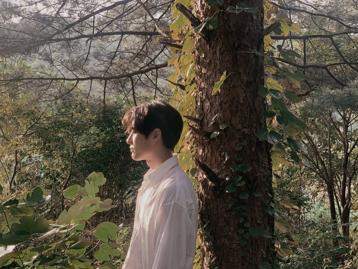 0805palmtree's tweet photo. .안심 🌿

#WOODZ #CHOSEUNGYOUN #조승연 #우즈 https://t.co/1ACVXiTeCL