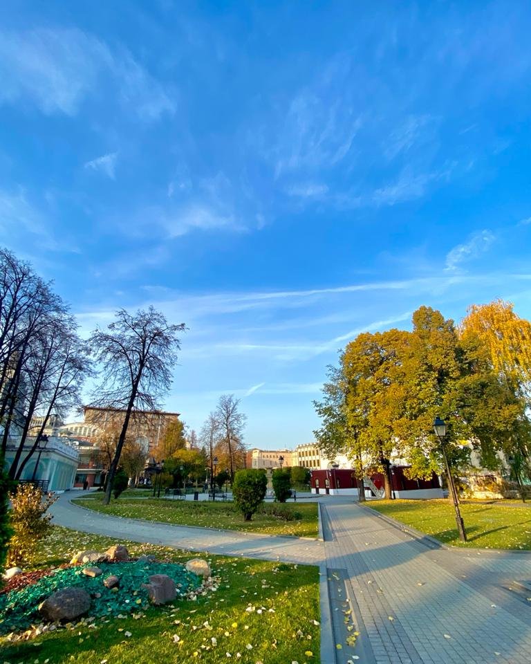 Волшебный свет осеннего заката 💛

#садэрмитаж #mosgorsad