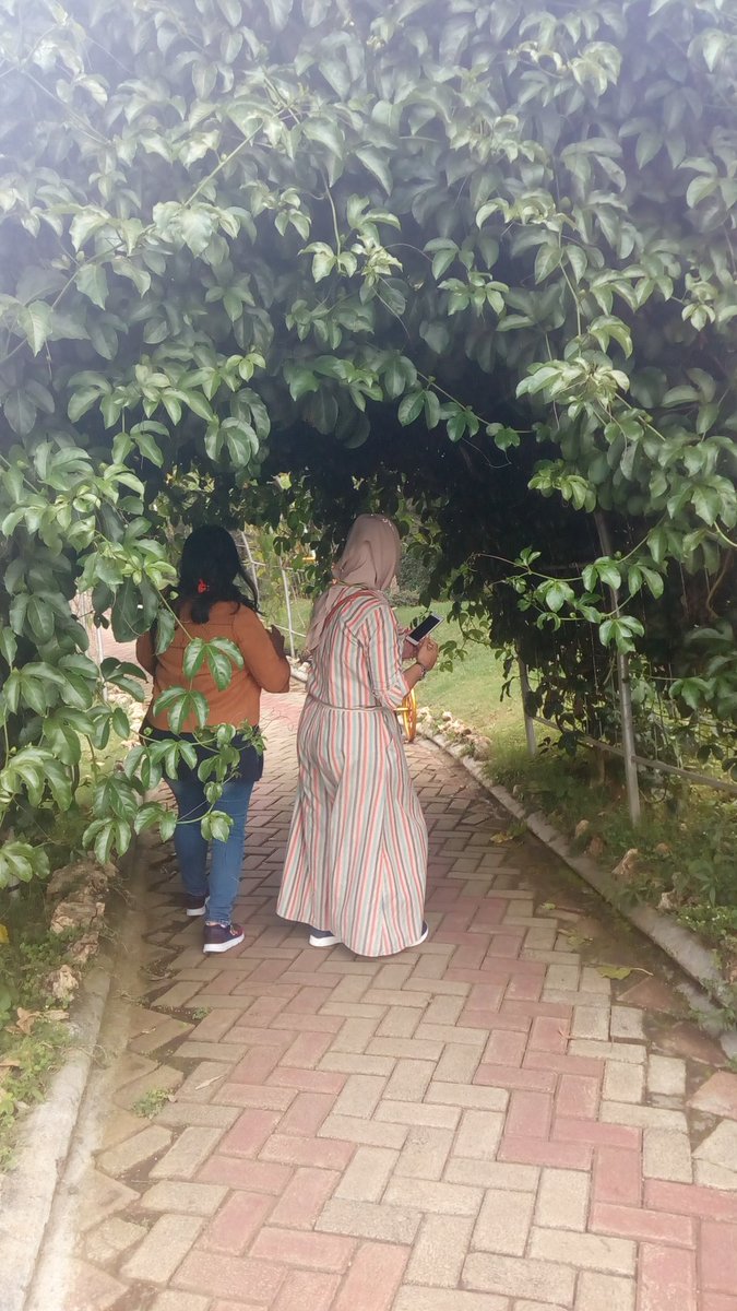 Pasutri Hijab tweet media