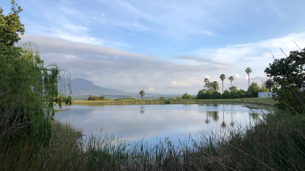 AsaraEstate's tweet photo. Ready for a change of scenery? Our online bookings are open from December 1st, come and join us https://t.co/iRJL3yWptn
#asara #asarawines #asaraestate #stellenbosch #luxuryhotel #localdestinations #localluxury https://t.co/95a1JLUKVC