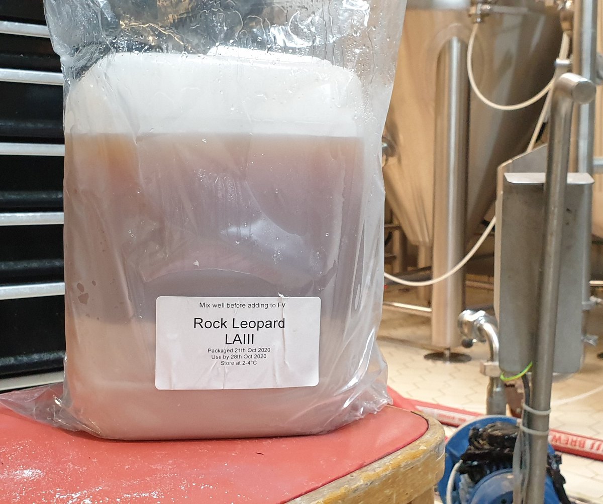 staceyayeh's tweet photo. It's been a bit stressful (to say the least) trying to find a new home but thankfully @VillagesBrewery have stepped up๐๐ผ๐ป
#doublebrewday
#passiondelivered https://t.co/tWfXOen7SW