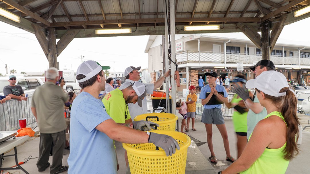 Swollfest's tweet photo. Fill 'em up!
Weigh 'em in!
#swollfest #swollfestfishingrodeo #grandisle #visitgrandisle #louisianacoast #fishing #letsgofishing #fishforgood #fishingrodeo #onlylouisiana https://t.co/dfckTpwLqB