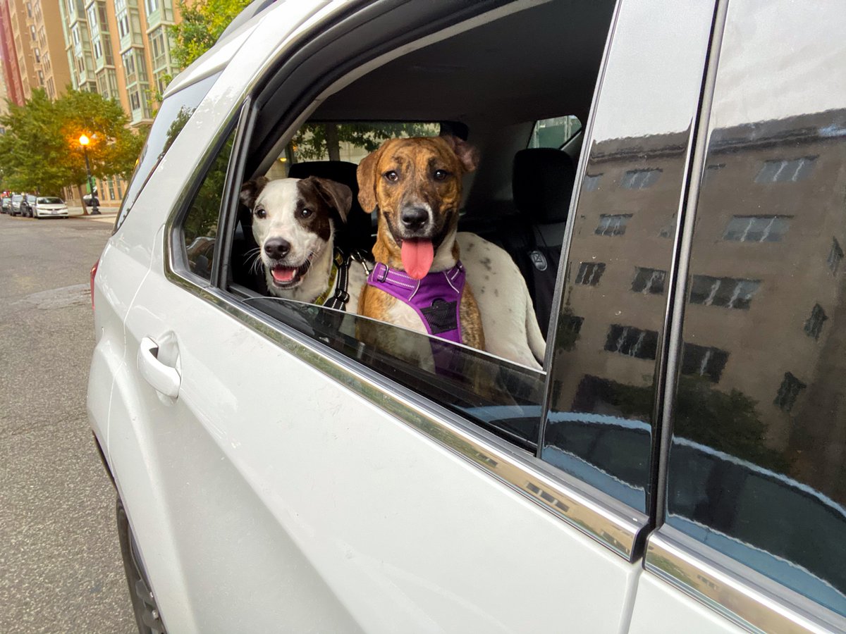 Dave Jorgenson tweet media