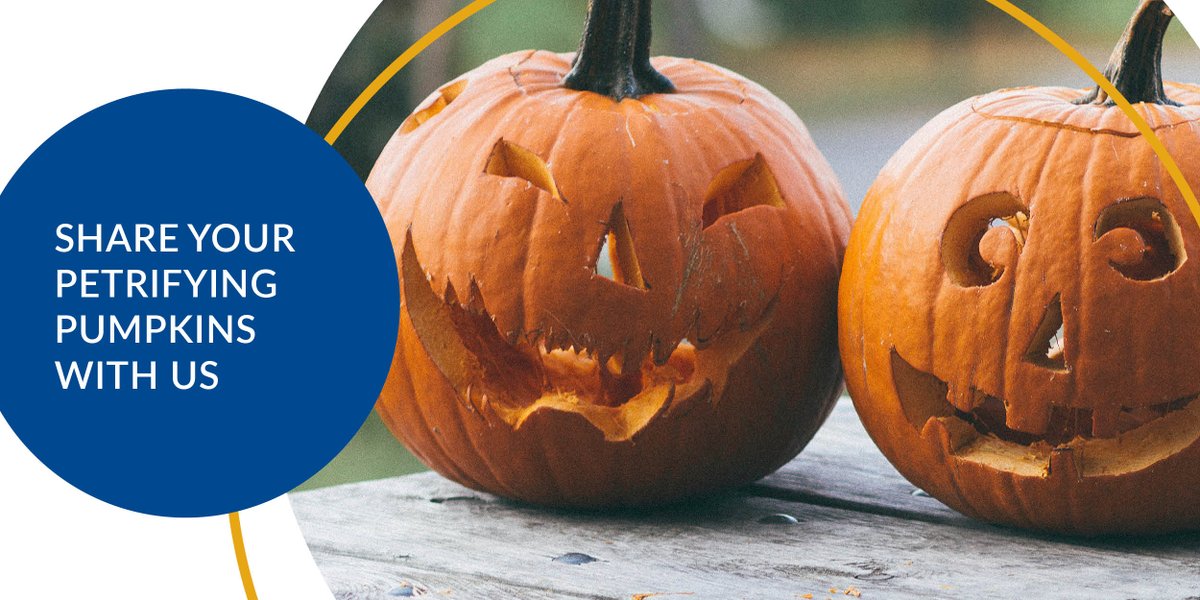 AgrovistaUK's tweet photo. With two days until Halloween, how scary are your pumpkins? Tag us @AgrovistaUK and we'll share our favourites.  🎃 🎃 🎃 🎃 #pumpkins #halloween https://t.co/Eg9rjI7cmi