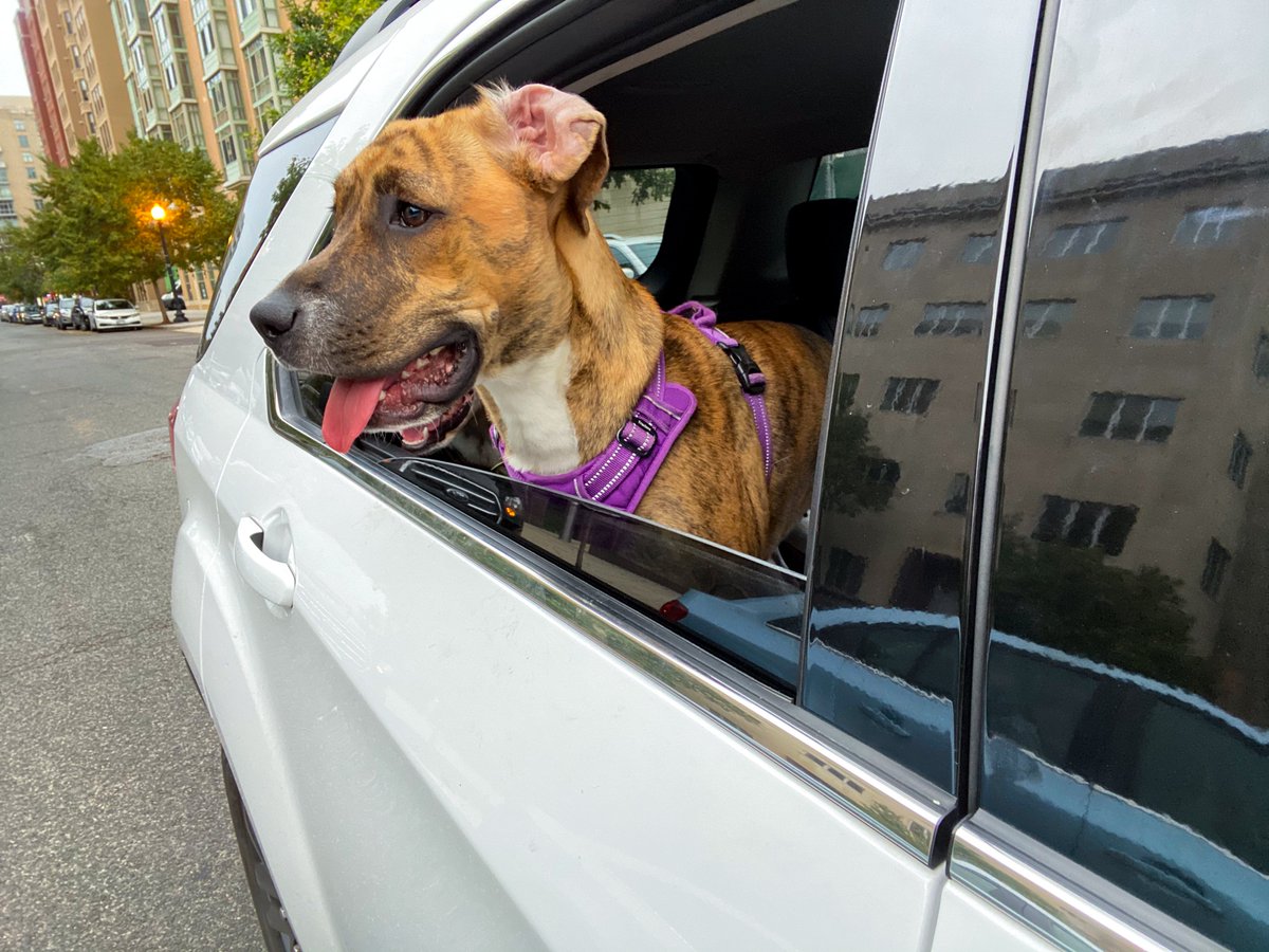 Dave Jorgenson tweet media