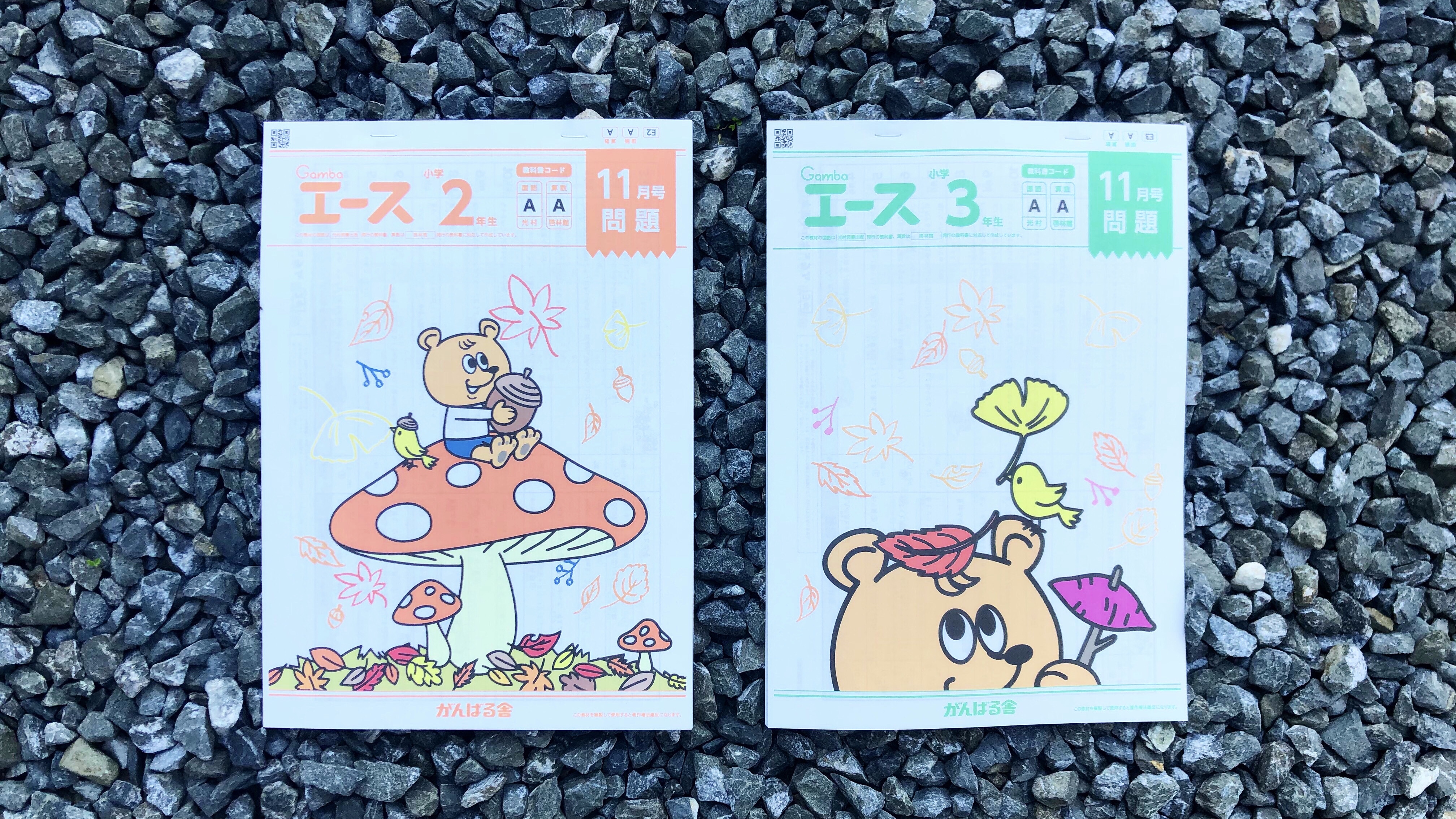 Gambaエース小学生 Twitter Search Twitter