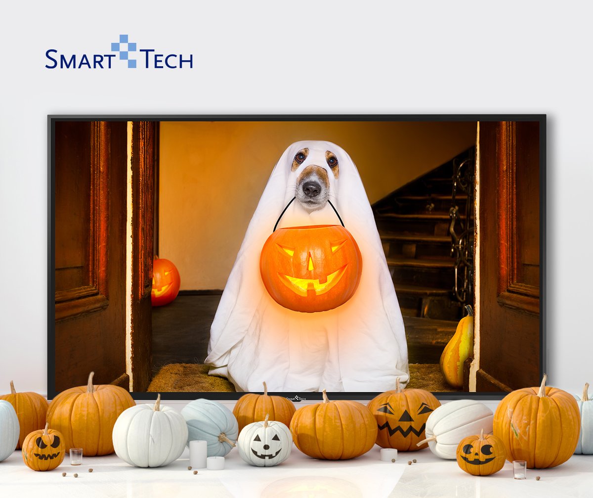 Smart_Tech_TV's tweet photo. Prepare your treats beforehand, as your pet might ask for it at this Halloween!
Smart-Tech TV️: https://t.co/OMMVdN38bd
#SmartTechTV #4KTV #UHDTV https://t.co/lWUH3pHQDq