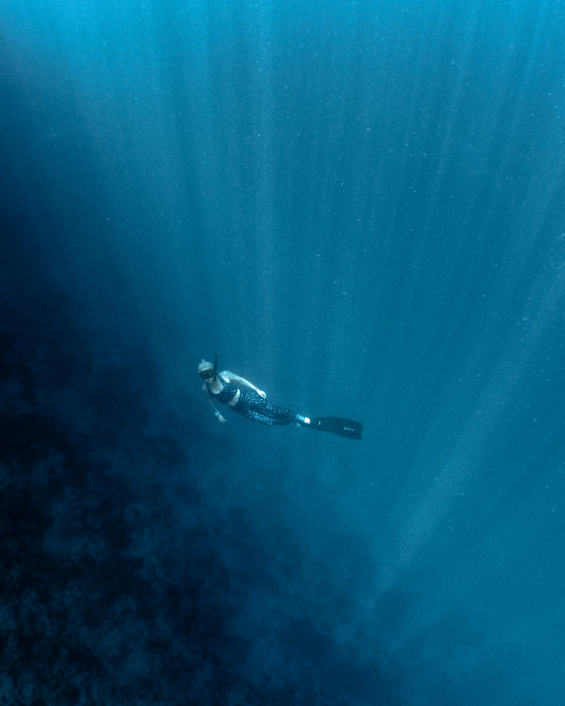 DBIfinolhu's tweet photo. THREE DAYS TO GO!
Explore the underwater world free and get up close to the marine life on #onebreath with our Freedive Course #TurquoiseThursday
#SeaYouSoon
@finolhumv @PADI @PADI_Travel @visitmaldives @maldives
📸 @soulseapixels https://t.co/30TdNLW5S0