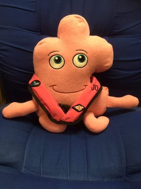miss_isle's tweet photo. Thank you to Jeremy & team at @SeaSafeSystems for making little 'Jo Jigsaw' a mini lifejacket to ensure her safety during the #BlownAway #atlanticchallenge!
Jo Jigsaw is joining us from the Lambert class of Brighstone Primary School #IsleofWight.
#Atlantic2020 #sippuff https://t.co/kBYePNxqGR