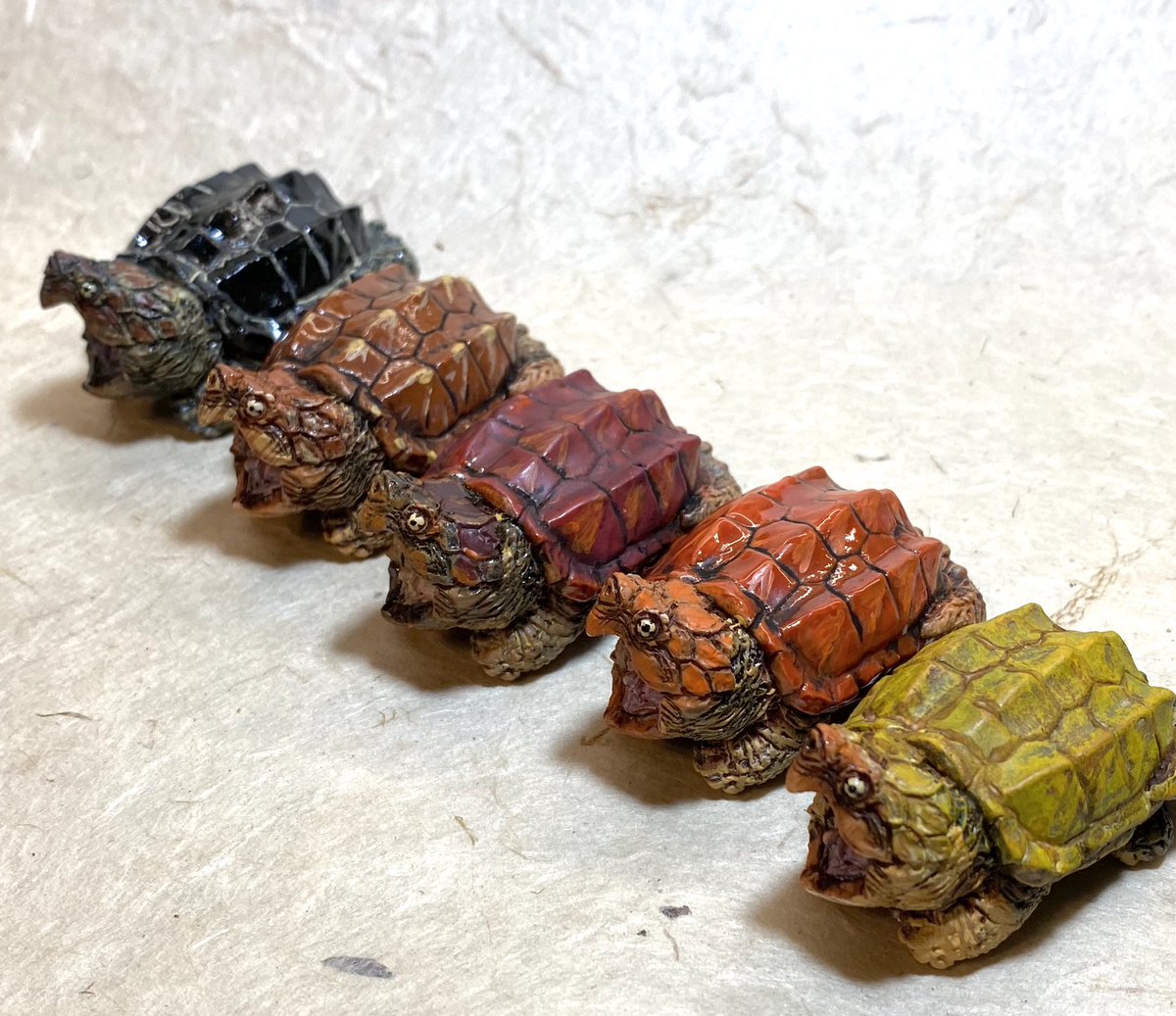 10月30日（金）21時より アクアプラントオンラインショップ更新いたし