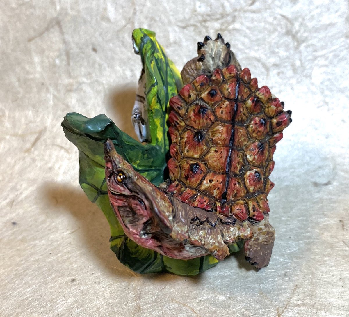 10月30日（金）21時より アクアプラントオンラインショップ更新いたし