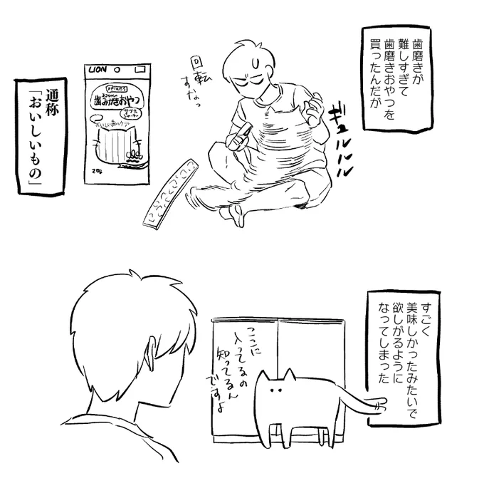 歯磨き(1枚目で指に巻いてる歯磨き用のガーゼみたいなやつです) 