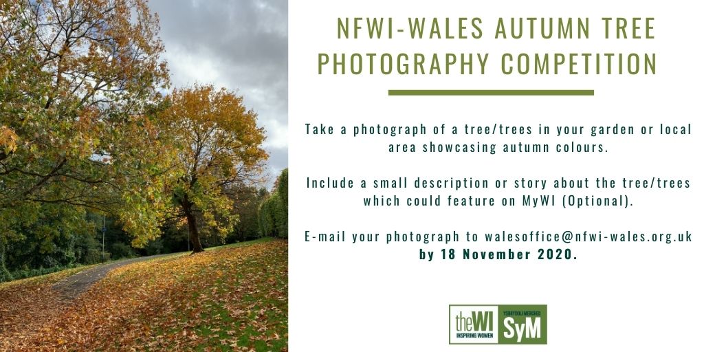 Have you noticed the change in seasons and leaf colours? 

Why not enter our Autumn Tree Photography Competition?

The top 3 entries will win a prize!  

Closing date: 18 November 2020.

This competition is open to members across Wales, England and the Islands.