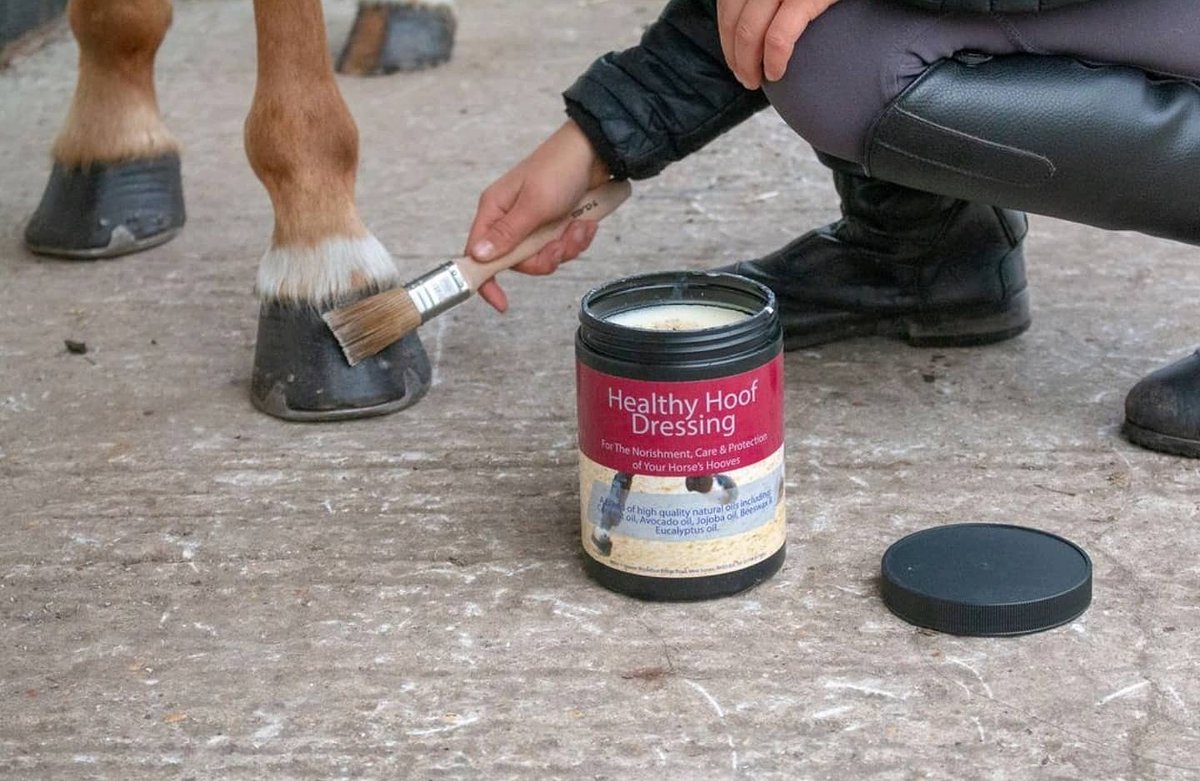 Better4Hooves tweet media