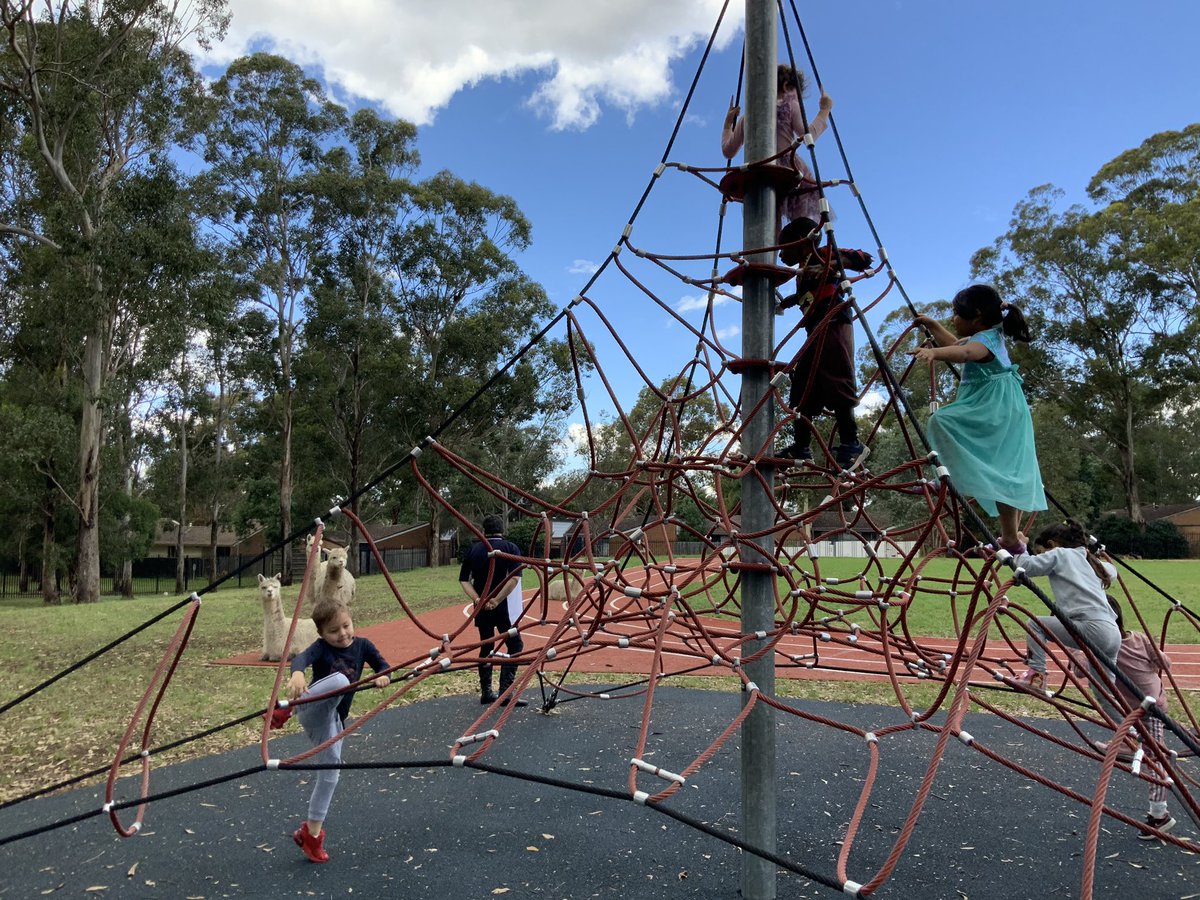 Amalie Anderson tweet media