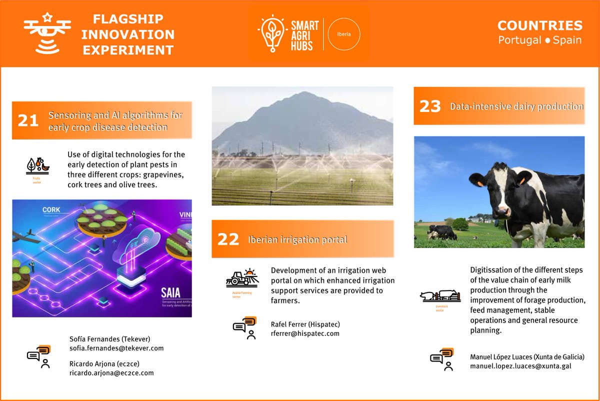 Regional Cluster Iberia tweet media