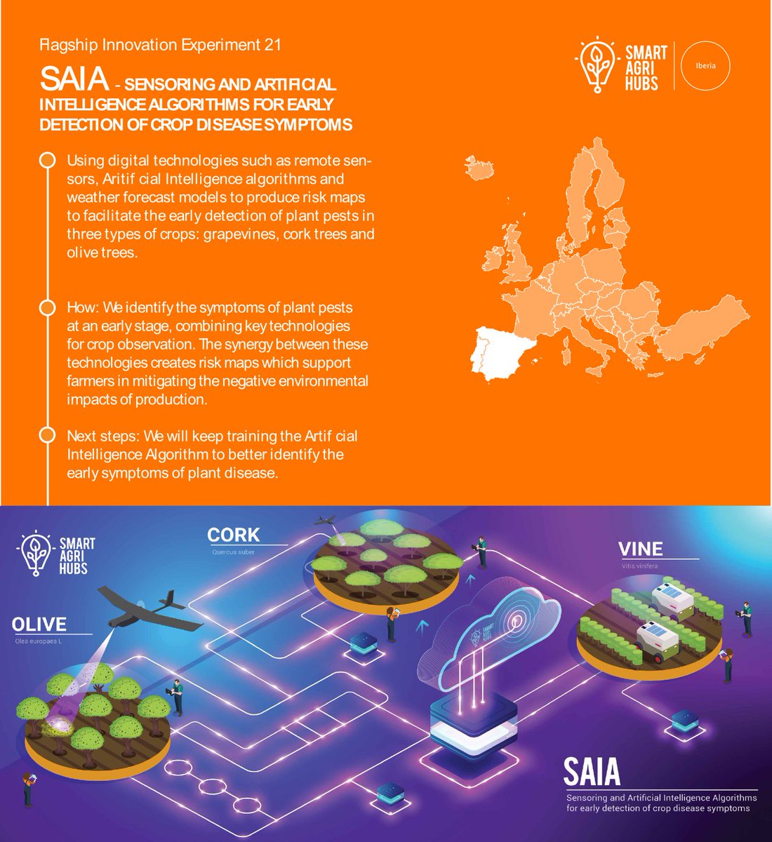 Regional Cluster Iberia tweet media