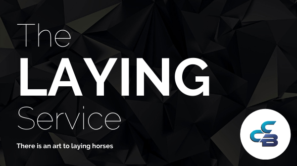 CCBStrategy's tweet photo. With the Jumps &amp; All Weather just getting ready to clear the first hurdle for another season our #Laybet team using #Betfair are under starters orders for November. Always a busy time for points building for all services. #CCB #Coaching #Data #Ripplemethods https://t.co/5HG8NuVqjr