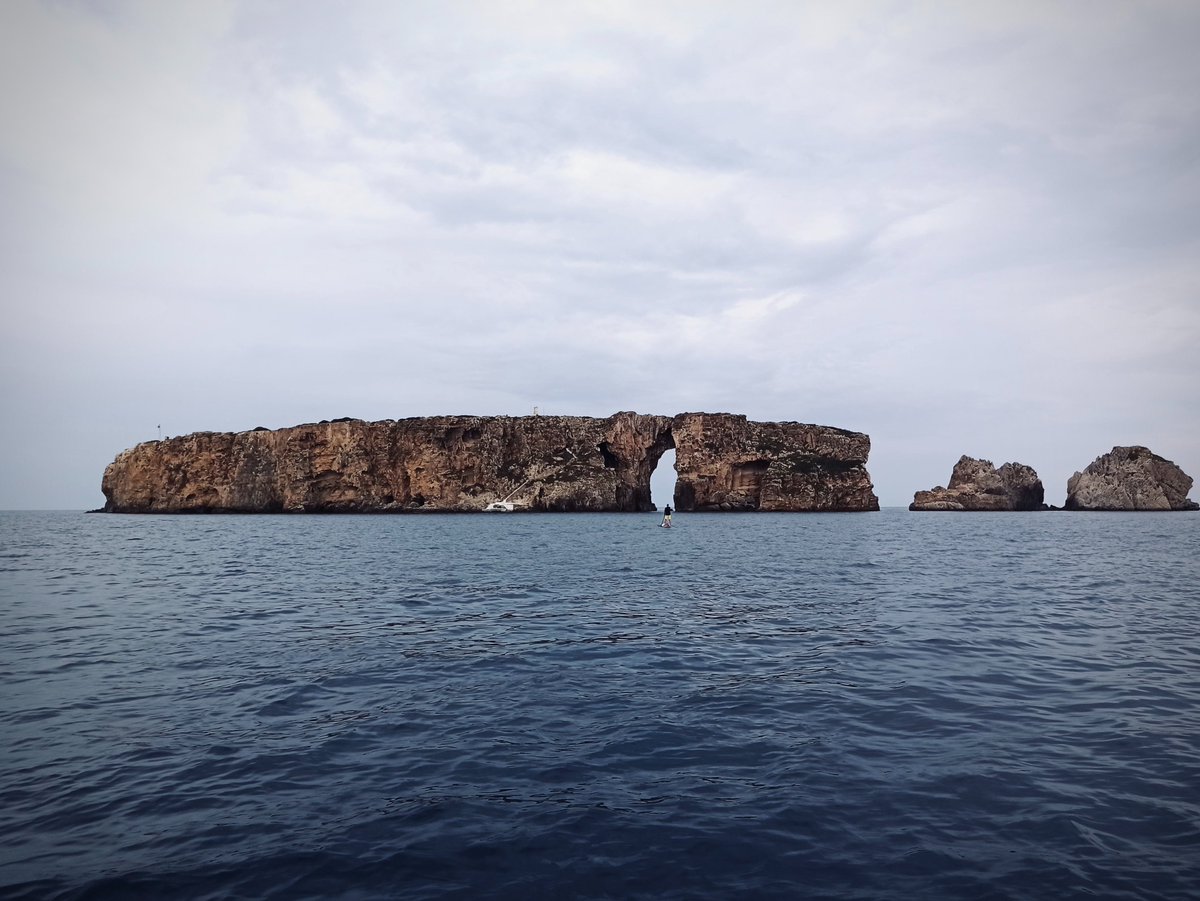 exploremessinia's tweet photo. Sea what we sea and let go 😇

#sup #suplife #supstyle #vitaminsea 💦 #seastories #LifeOutdoors #earthwonders #naturelovers
#fallseason🍂#exploremessinia #exploretours #OutdoorActivities #outdoorgreece #DiscoverGreece #discoverpeloponnese #TravelinGreece #visitgreece https://t.co/i2dn60q4vA