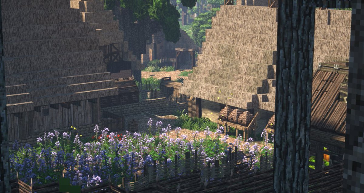 A small field of Borage within the village of Blanetree. Borage was oftentimes used for medicinal purposes and doubled as a hot spot for bees

#WeAreConquest #WeAreReforged #ASOIAF #GameOfThrones