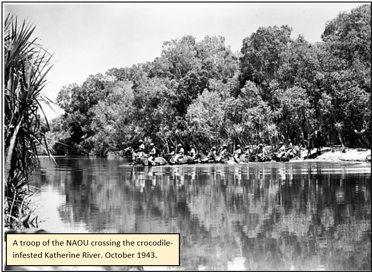 6/8A patrol of NAOU in the Gulf country were swimming their horses across a deep creek, the last soldier in line felt something strike his horse.The horse screamed, struggled then disappeared beside him into blood-stained water.Saltwater crocodile - largest reptile on Earth.