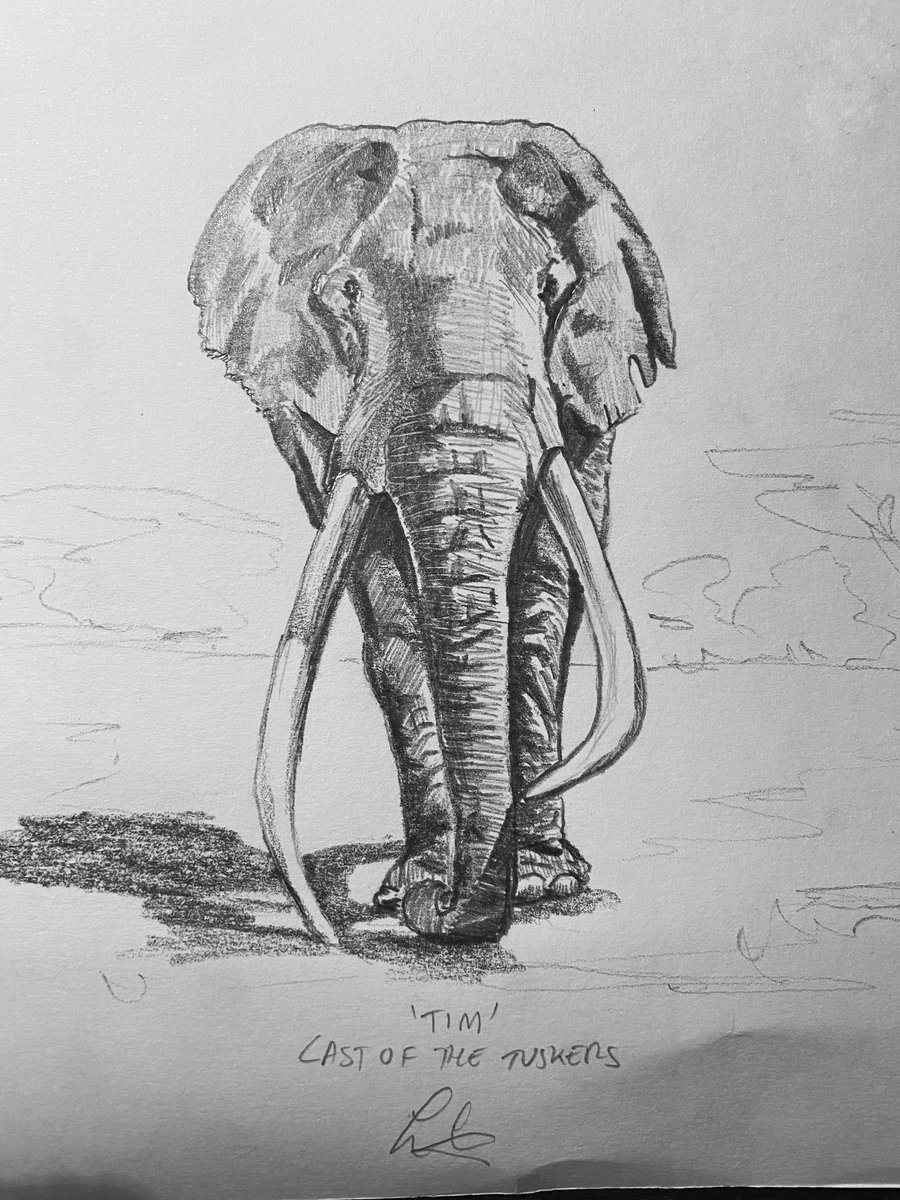 Heres my #sketchforsurvival in aid of conservation. You can bid here …plorersagainstextinction.irostrum.com/BiddingProcess…