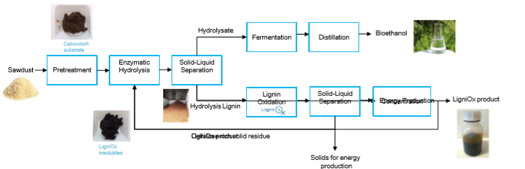 ligniox_eu's tweet photo. @ligniox_eu integration to Cellunolix® bioethanol process !

👉 1: Cellulose rich LigniOx insolubles to the enzymatic hydrolysis 
👉 2: LigniOx product as additive/surfactant to the enzymatic hydrolysis

Discover more on the project by clicking below ! 
https://t.co/gcu7lnwjyg https://t.co/pLtUqfCSBB
