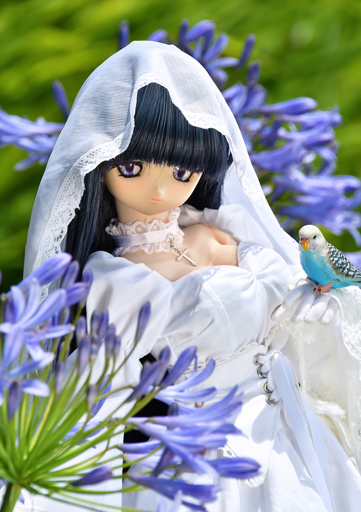 Twoucan アガパンサス の注目ツイート イラスト マンガ コスプレ モデル