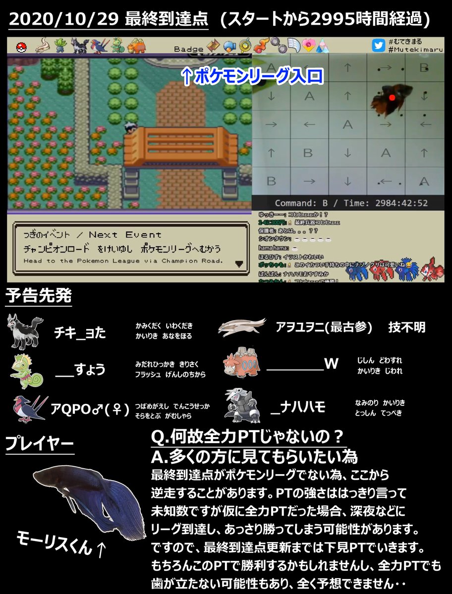 飼っている熱帯魚に操作させ3195時間かけてポケモンをクリアした配信者さん 今度はお魚同士のスマブラを開始 なにこれ Togetter