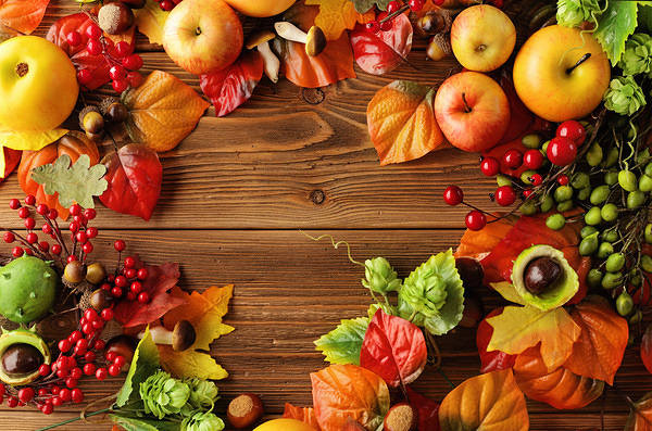 JAFoodServ's tweet photo. Check out the 🍎🍇🍊fresh fruit on the November menus posted to https://t.co/XKVrnFEMsB &amp; remember that all cafeteria meals (bfast &amp; lunch) are ‼FREE‼ until the end of the 20-21 school year! https://t.co/JOniihvp4L