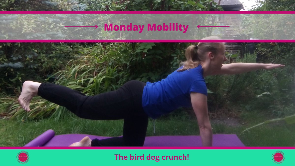 The #birddogcrunch is one of my favourite #yoga moves. Here I am doing this. It's great for strengthening our #coremuscles and #glutealmuscles! #deskjobpainrelief #backpaintreatment #lowbackpainprevention #shoulderpaintreatment #injuryprevention #injurypreventionforrunners